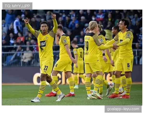 多特蒙德新赛季青春风暴来袭，年轻才俊闪耀阵容重组