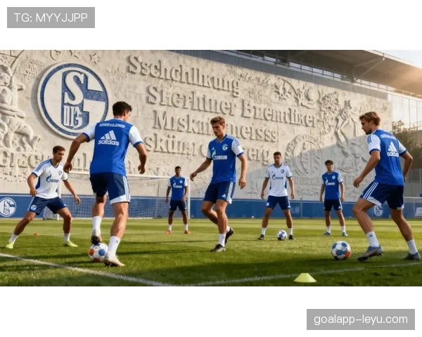 沙尔克新战术显成效，进攻效率提升引关注