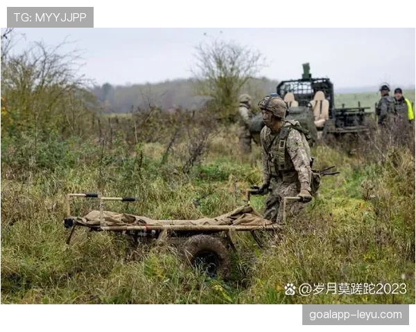 博阿进攻套路全面升级，战术革新引发媒体热议