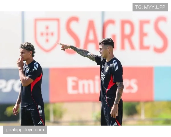 葡超波尔图本菲卡德比战况与近期表现分析 葡超波尔图本菲卡德比战况与近期表现分析